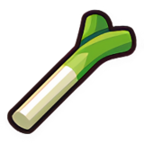 Leek