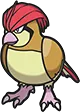 Pidgeotto